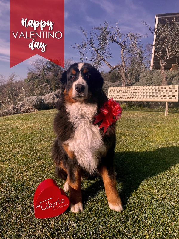 Regala un super romantico San Valentino